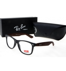 Ray-ban Glasses-1391