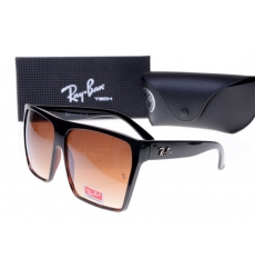 Ray-ban Glasses-1481