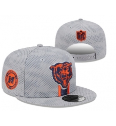 NFL Chicago Bears Stitched Snapback Hats 2410-4